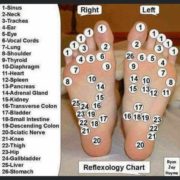 Meet your Posher, Raquel - Picture 3 of 3